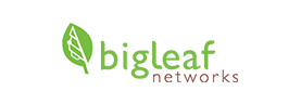 Bigleaf networks